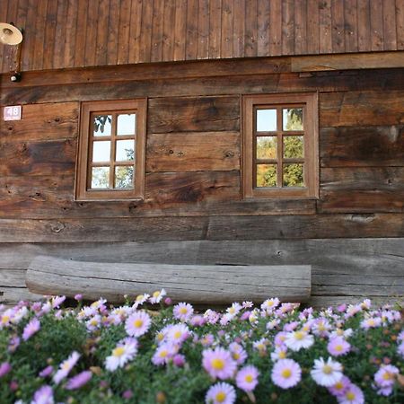 Oldhouse Knezovo Villa Sromlje Exterior foto